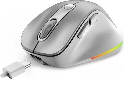 MOUSE USB WIRELESS + BLUETOOTH SILENT MINI ERGO 9000S PRO SILVER GENIUS     N31030039402